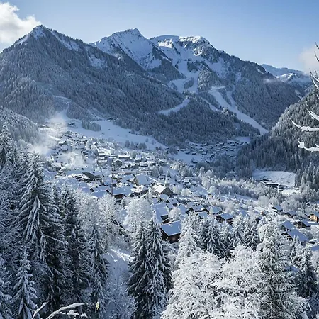 In Near Chairlift Châtel