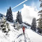 In Near Chairlift Châtel
